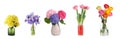 Collage with various beautiful flowers in vases on white background. Banner design Royalty Free Stock Photo
