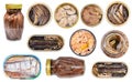 Collage from various canned fishes isolated