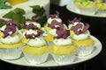 Collage of various cupcakes: vanilla Royalty Free Stock Photo