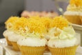 Collage of various cupcakes: vanilla Royalty Free Stock Photo