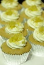 Collage of various cupcakes: vanilla in decorative Royalty Free Stock Photo