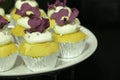 Collage of various cupcakes: vanilla in decorative cup Royalty Free Stock Photo