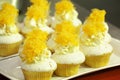 Collage of various cupcakes: vanilla in decorative cup Royalty Free Stock Photo