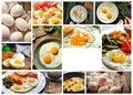 Collage of various dishes. A varied menu of chicken eggs. Fried eggs omelet. Food collage. Free space for text Royalty Free Stock Photo