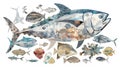 Collage of various fish and sea creatures in a watercolor style, forming a larger fish shape