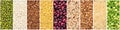 Collage of various grains, panorama. Collection of various cereals, banner