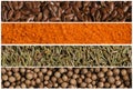 Collage of various spice seeds. Flax and breadcrumbs, rosemary and coriander. Macro photography Royalty Free Stock Photo