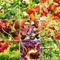 Collage of various summer vegetable salads. Vegetable salad close-up. Lattuk, tomatoes, cucumbers, avocados, ruccola Royalty Free Stock Photo