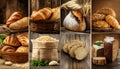 collage of various types of fresh baked bread Royalty Free Stock Photo