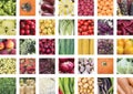 A collage of vegetable edible ingredients Royalty Free Stock Photo