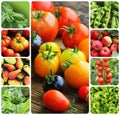 Collage of vegetables and fruit - products of vegetable garden. Healthy eating consept. Gardening background