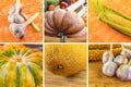 Collage of vegetables fruits assorted corn golden cob, pumpkin, garlic and melon