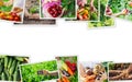 Collage vegetables. Garden. Food bio. selective focus