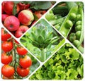 Collage of vegetables - products of vegetable garden. Healthy ea