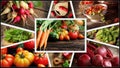 Collage of vegetables - products of vegetable garden. Healthy eating consept. Gardening background