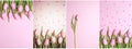 Collage of vertical pink tulips photos on the pink background. F