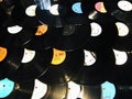 Photo collage of vinyl records