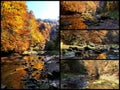 Collage water reflection in stream in gorge in harmony picturesque golden autumn landscape