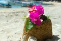 Collage of white shells and flowers on stown