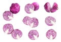 Collage with whole and cut fresh red cabbages on white background Royalty Free Stock Photo