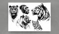 A collage of wild animals Royalty Free Stock Photo