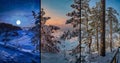 Collage of winter landscapes during different times of day: night, sunset, day. Sunny winter day, sunset and winter night view Royalty Free Stock Photo