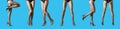 Collage of women wearing tights on blue background, closeup of legs. Banner design Royalty Free Stock Photo