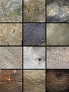 Collage of wooden cut trunks textures Royalty Free Stock Photo