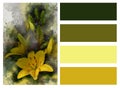 Collage of yellow lilies and colored rectangles Royalty Free Stock Photo