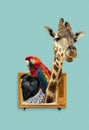 Collage zoo concept with animals coming out of TV set