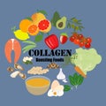 Collagen boosting food healthy nutrient rich food vector illustration