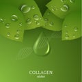 Collagen drop background with green leaves. Vector eps10.