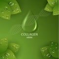 Collagen drop background with green leaves. Vector eps10.