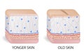 Collagen and elastine. Younger and older skin. Visual representation of skin changes over a lifetime. Collagen and