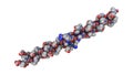 Collagen molecule, 3D illustration Royalty Free Stock Photo