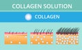 Collagen ,Protection Skin vector design.