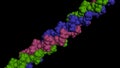 Collagen protein molecule. Molecular model. 3D rendering