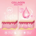 Collagen Serum Cosmetic Skin Care