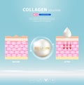 Collagen serum and vitamin background concept skin care cosmetics solution vector design