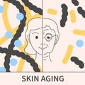 Collagen content in young and old skin illustration