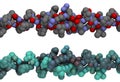 Collagen triple helix structure