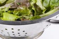 Collander with letuce Royalty Free Stock Photo