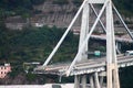 The collapse of the Morandi bridge in Genoa