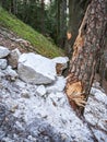 Collapsed rocky boulders fall down from sandstone rocks and landslide blocked forest path