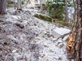 Collapsed rocky boulders fall down from sandstone rocks and landslide blocked forest path