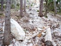 Collapsed rocky boulders fall down from sandstone rocks and landslide blocked forest path