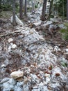 Collapsed rocky boulders fall down from sandstone rocks and landslide blocked forest path