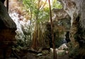 Collapsed Roof of The Cathedral Cave on Bahama Island of Eleuthera Royalty Free Stock Photo