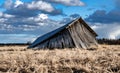 Collapsed traditional scandinavian unpainted wooden shed in field, farmers kept machines and tools for agriculture, storage during