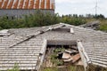 Collapsed wooden barn